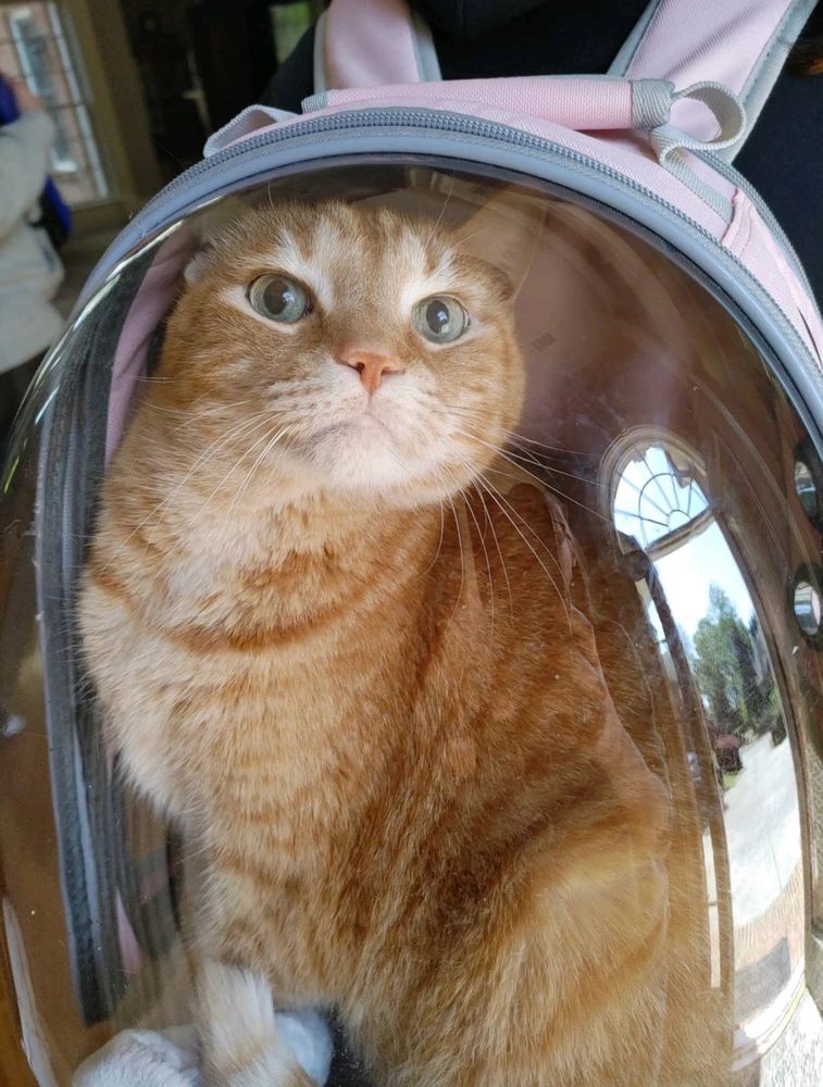 GIF uploaded by Elizabeth