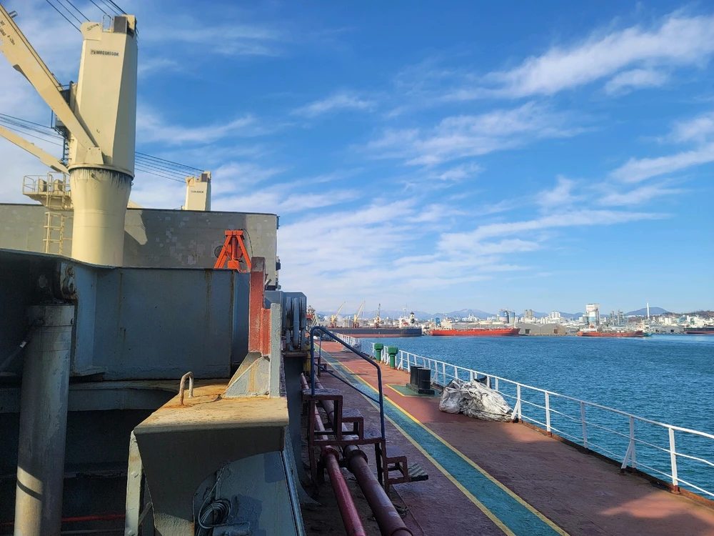 JS님이 올린 사진