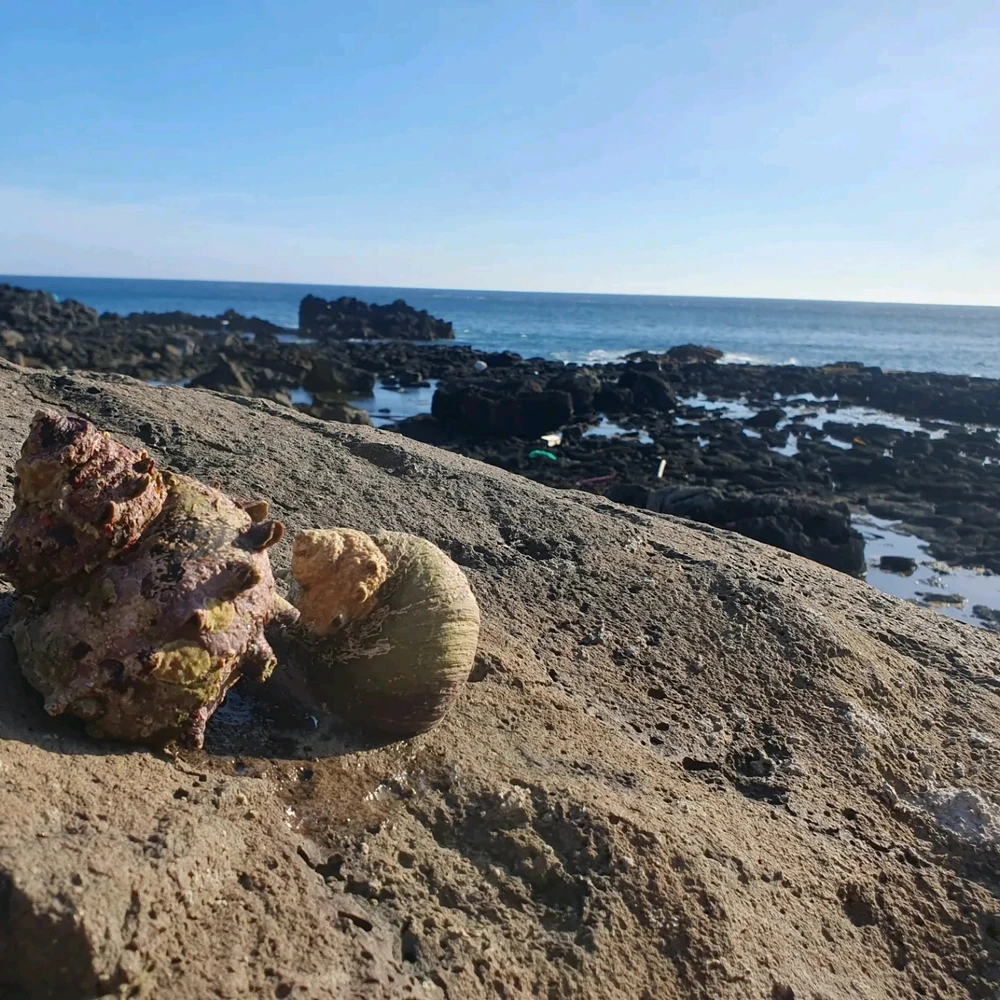 Min님이 올린 사진