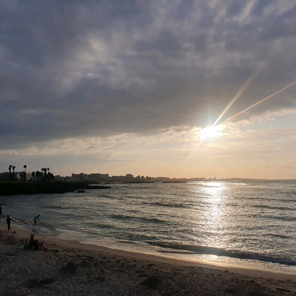 Min님이 올린 사진