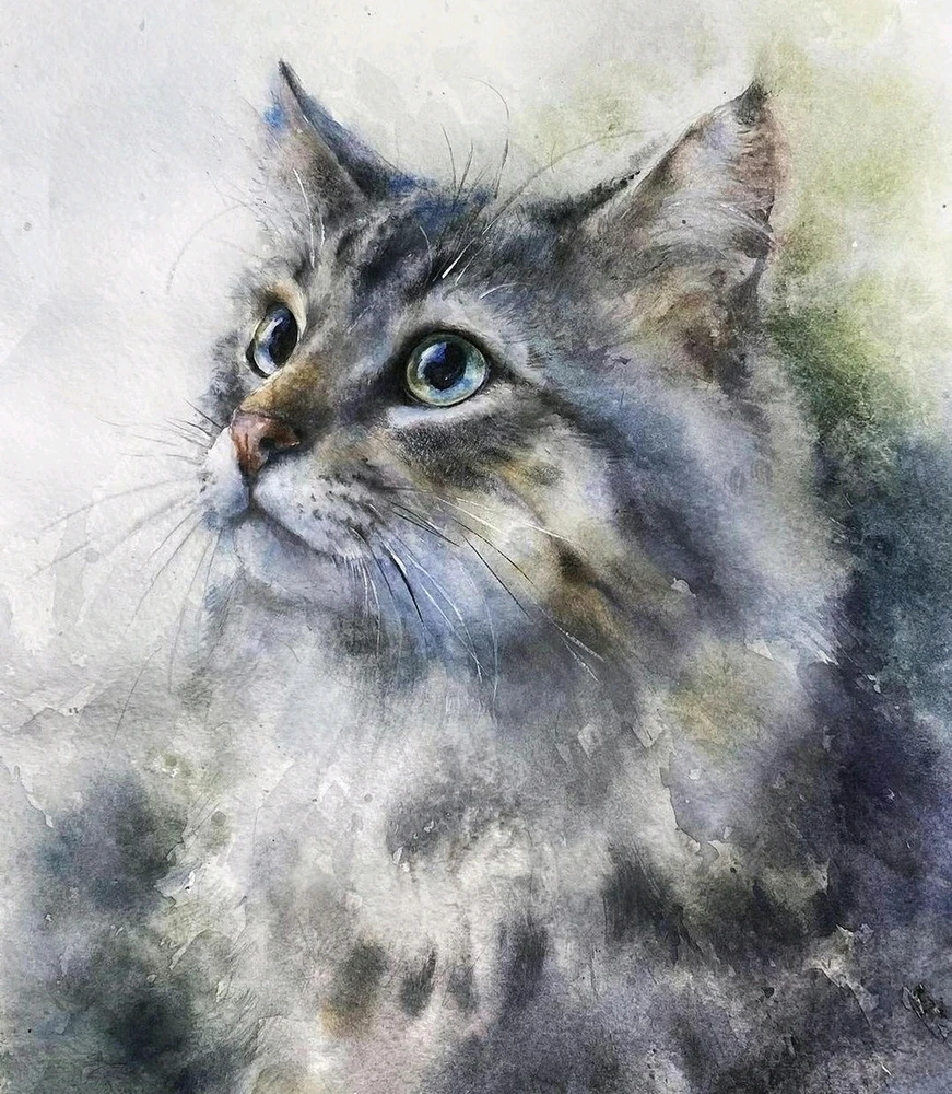 GIF uploaded by Franky