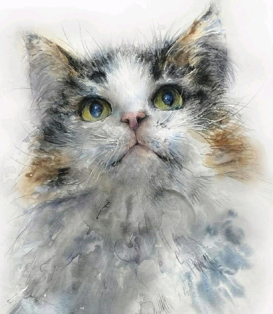 GIF uploaded by Franky