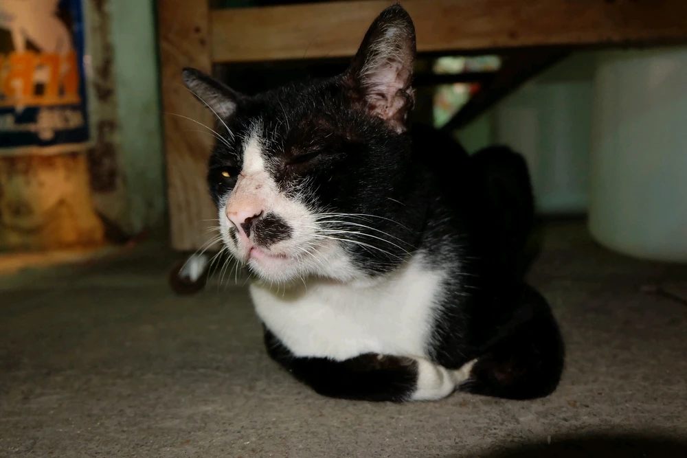 GIF อัปโหลดโดย LOUIS