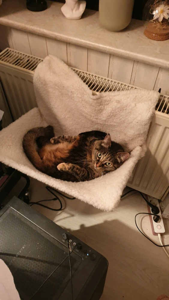 GIF hochgeladen von Tember