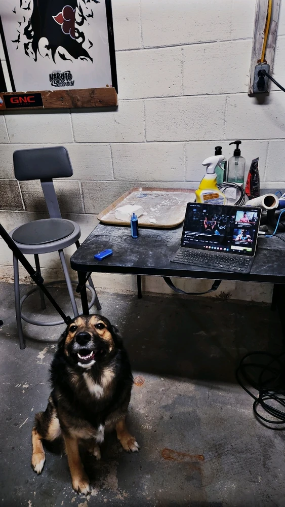 GIF uploaded by Kieran