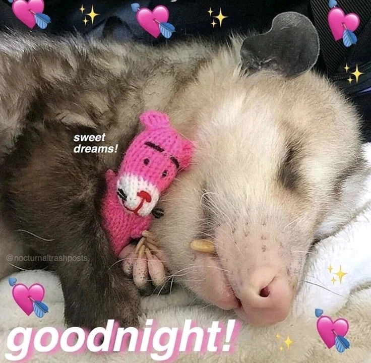 Зображення завантажив Natalia🦇