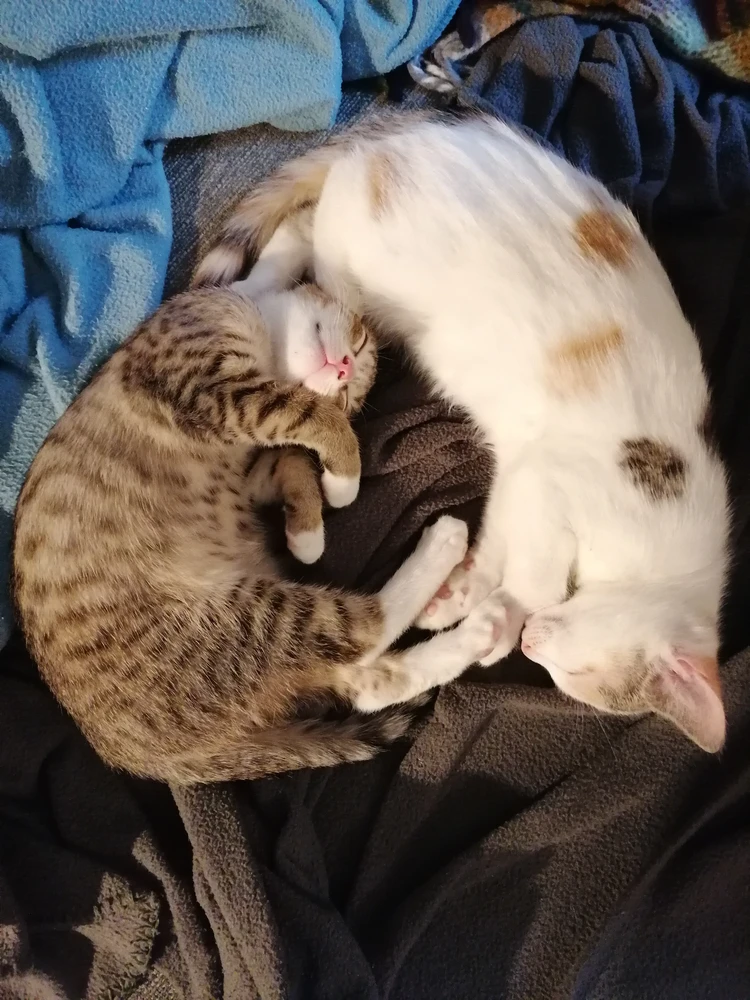 Bild hochgeladen von Jiani