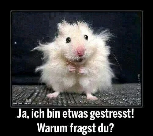 GIF hochgeladen von Peter