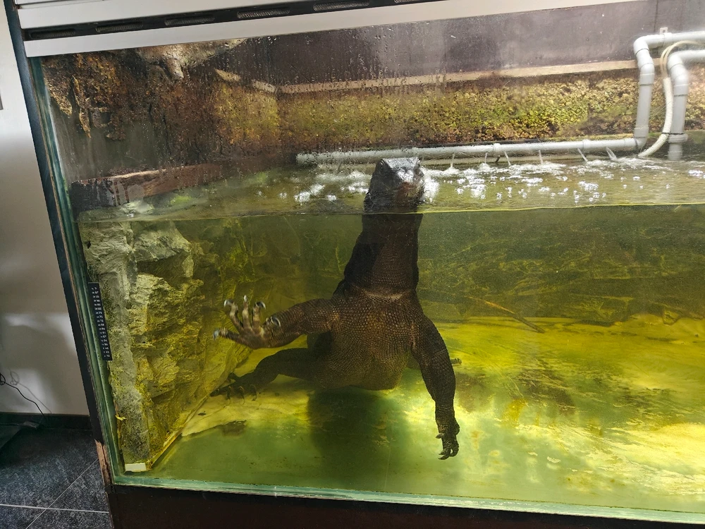 GIF geüpload door Martijn