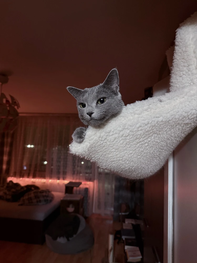 GIF uploaded by Damian