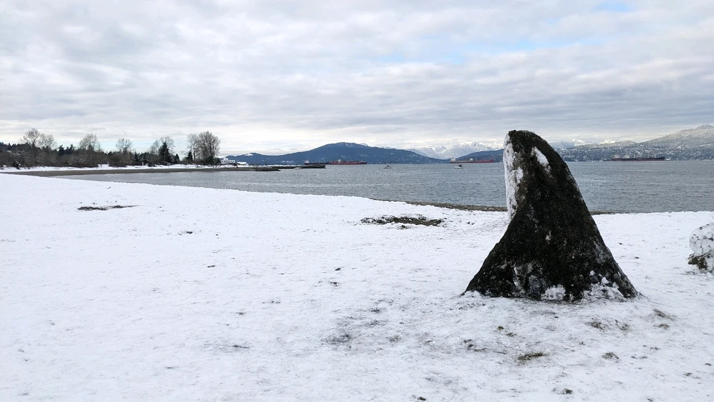 GIF uploaded by Sunny