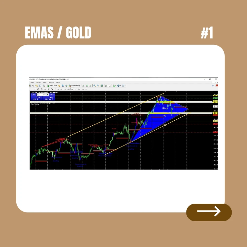 Gambar diunggah oleh Novi