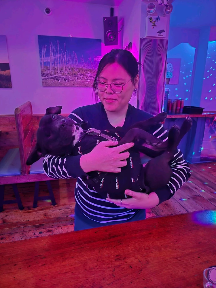 GIF încărcat de Geo