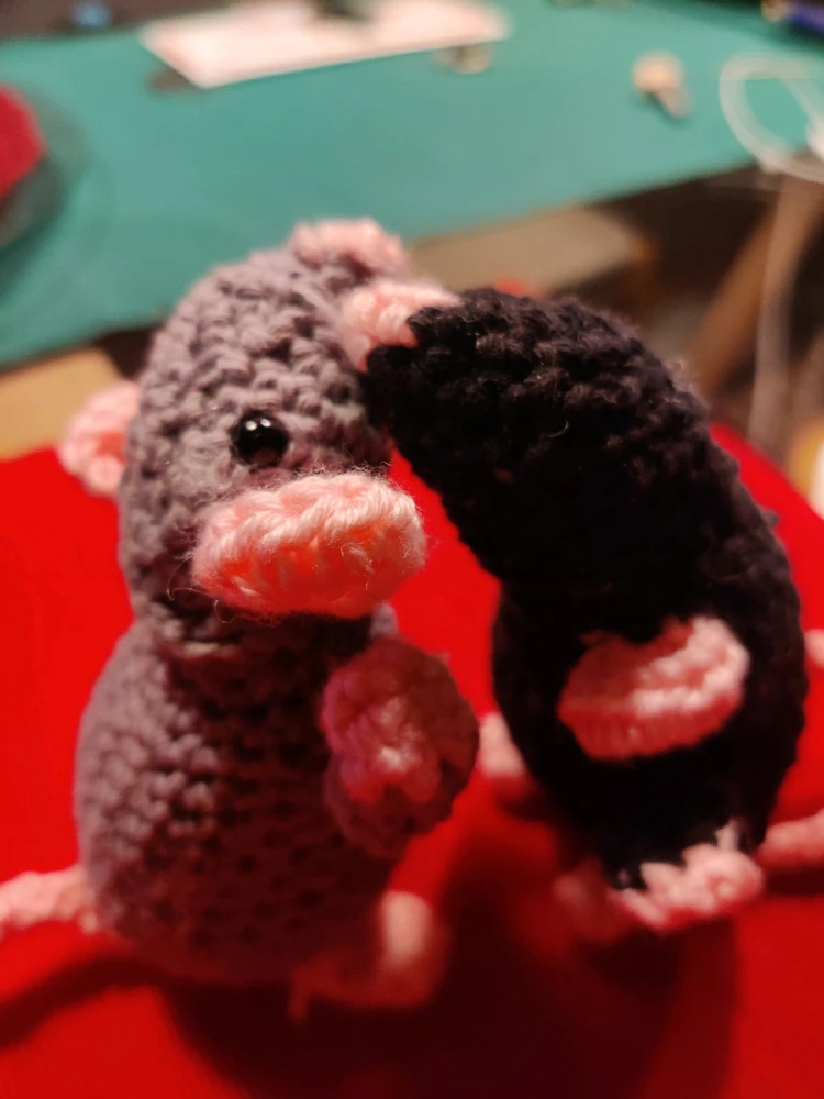 Bild hochgeladen von Ana