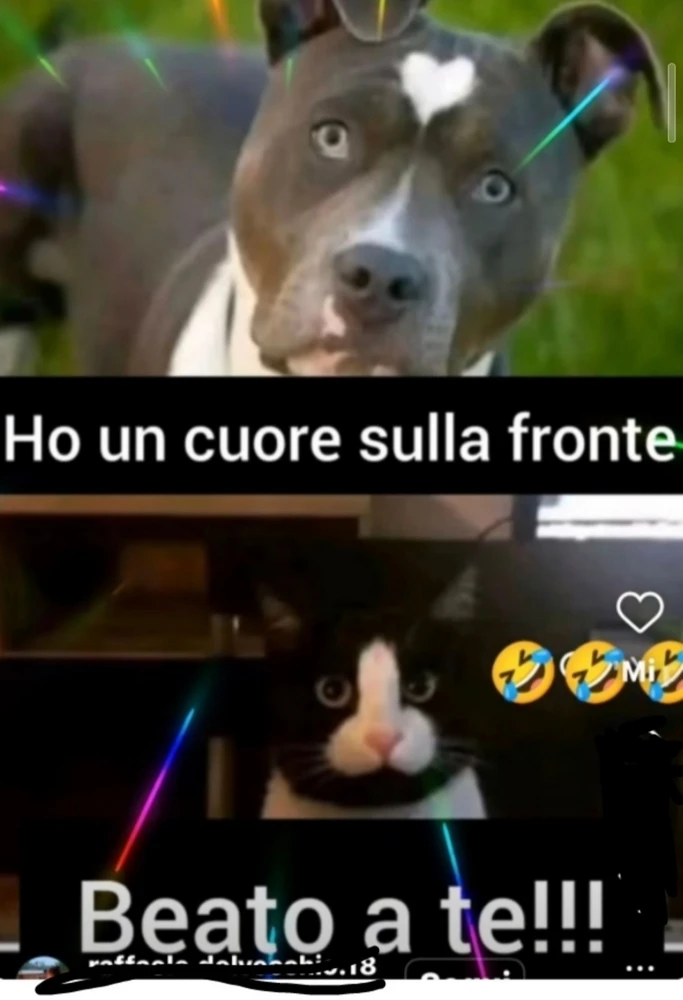 GIF caricata da Mauro