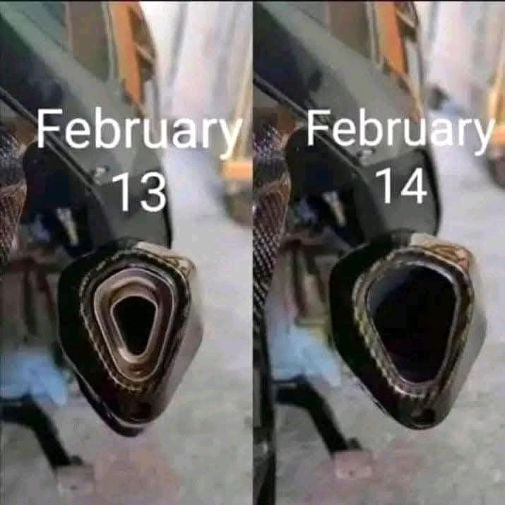 GIF încărcat de GFN