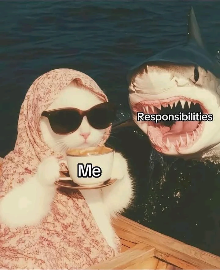 Gambar diunggah dening ꓄ђ