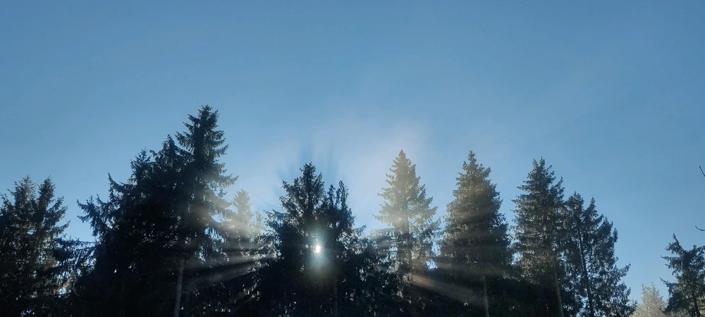 GIF hochgeladen von Kane