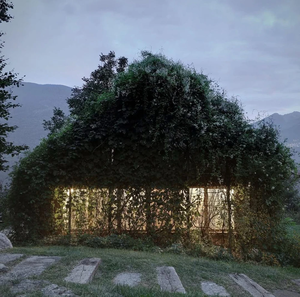 Obrázek nahrál Irónia