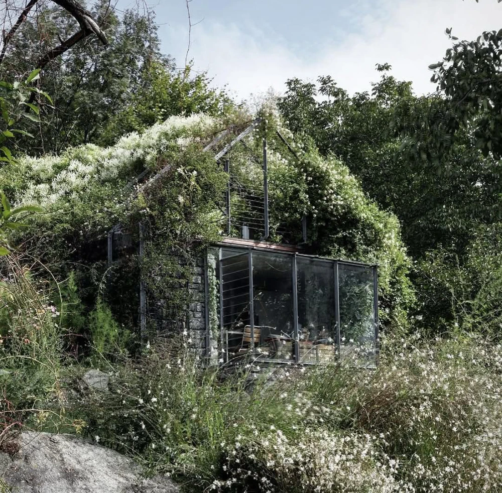 Obrázek nahrál Irónia