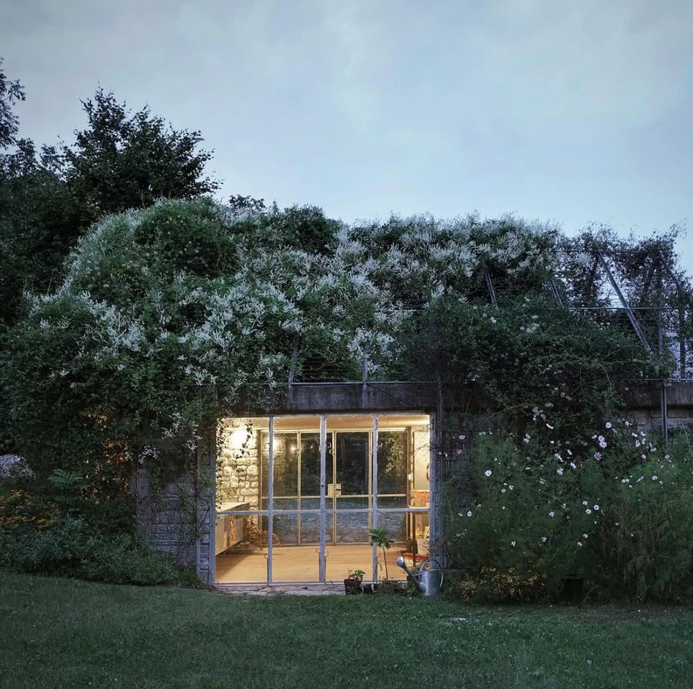 Obrázek nahrál Irónia