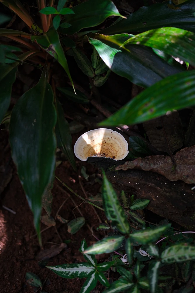 Alo ಅಪ್‌ಲೋಡ್ ಮಾಡಿದ ಚಿತ್ರ