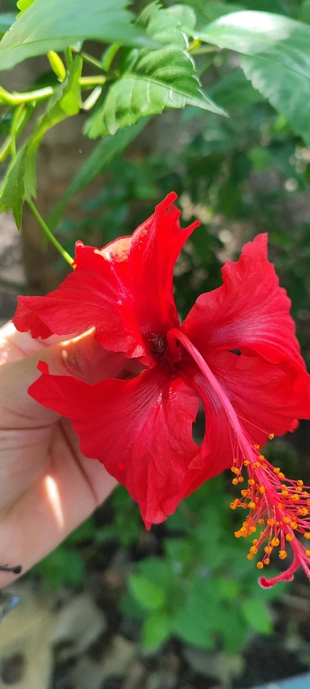 GIF subido por Meylly