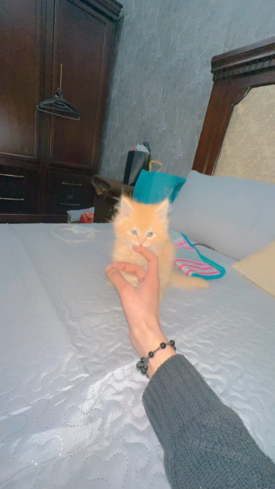 GIF gi-upload ni Izhan