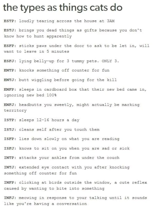 As a cat you tend to do this. (Allegedly)