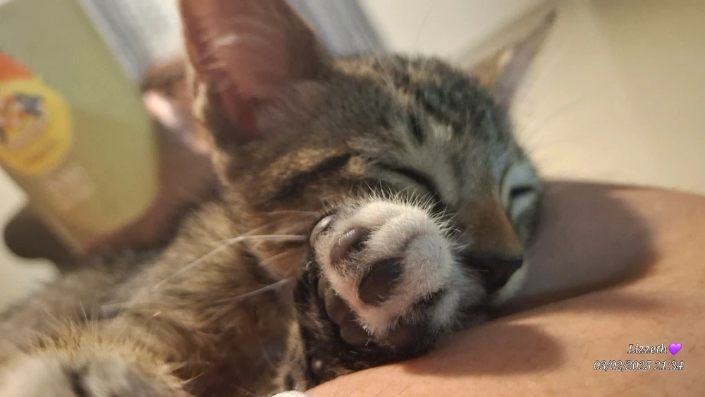 Lizzeth님이 올린 GIF