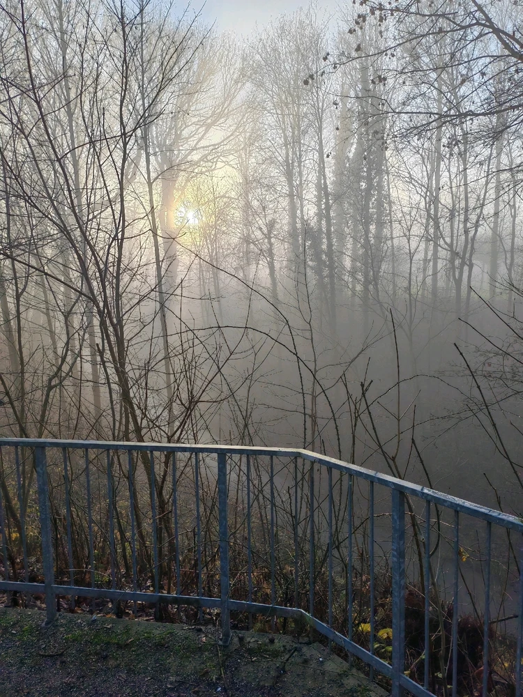 GIF hochgeladen von Cedric