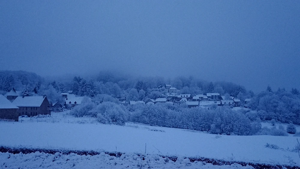 Image ajoutée par Mu 🌿