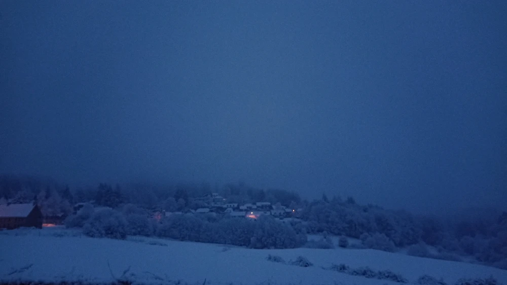 Image ajoutée par Mu 🌿