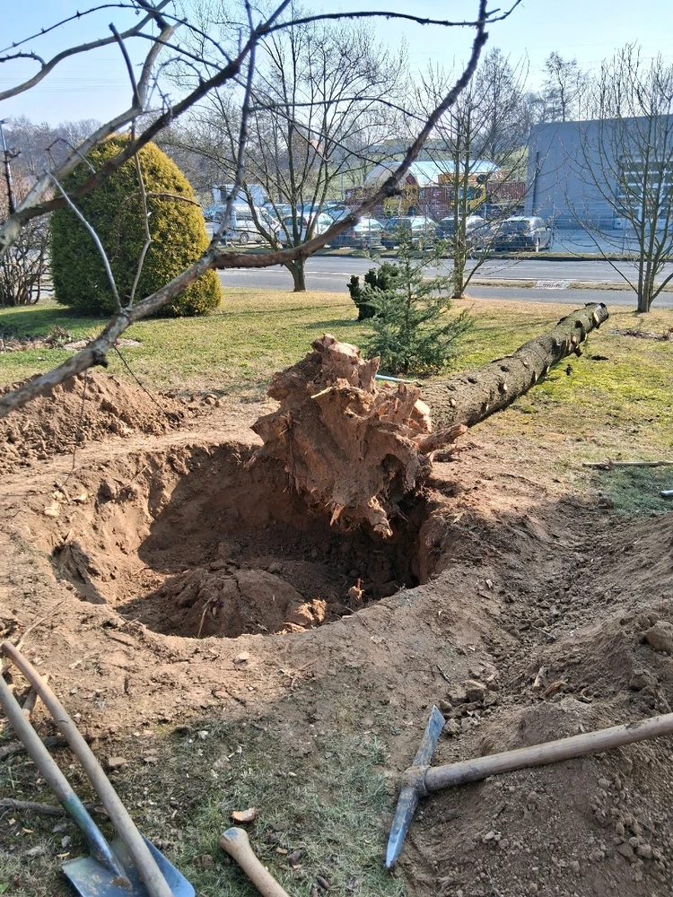 GIF hochgeladen von Thomas