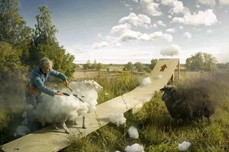 Image ajoutée par Stef