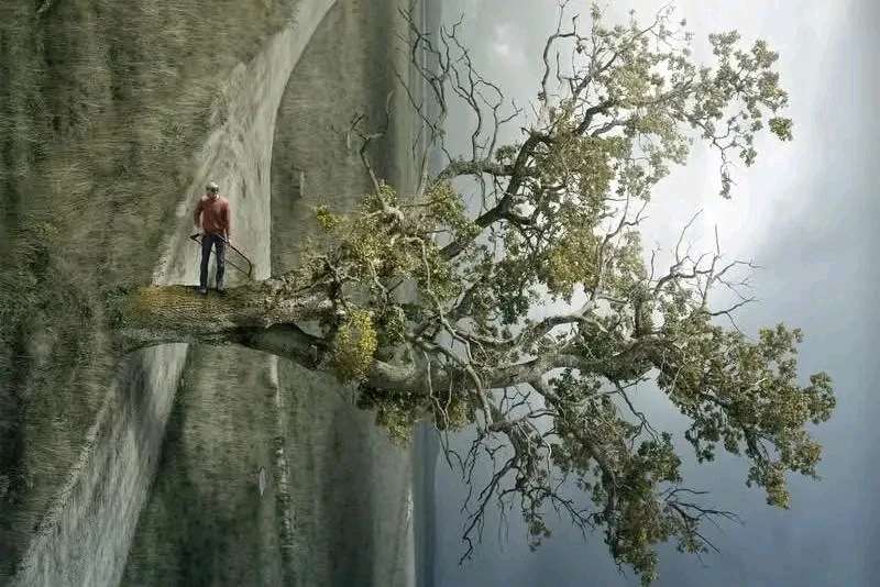 Image ajoutée par Stef