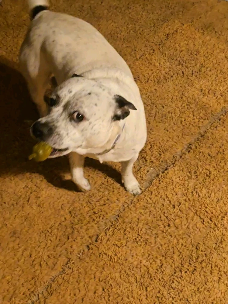 GIF uploaded by Lily