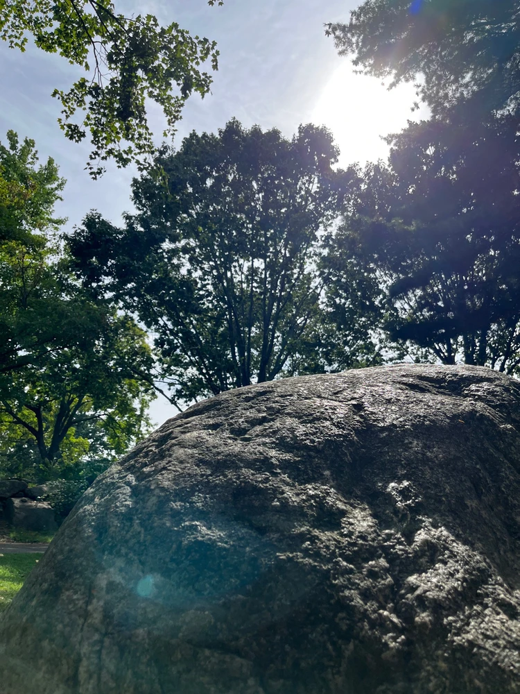 GIF uploaded by Asger