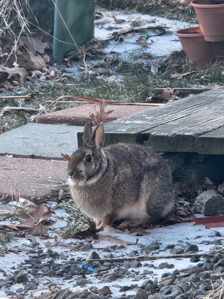 GIF uploaded by Gage