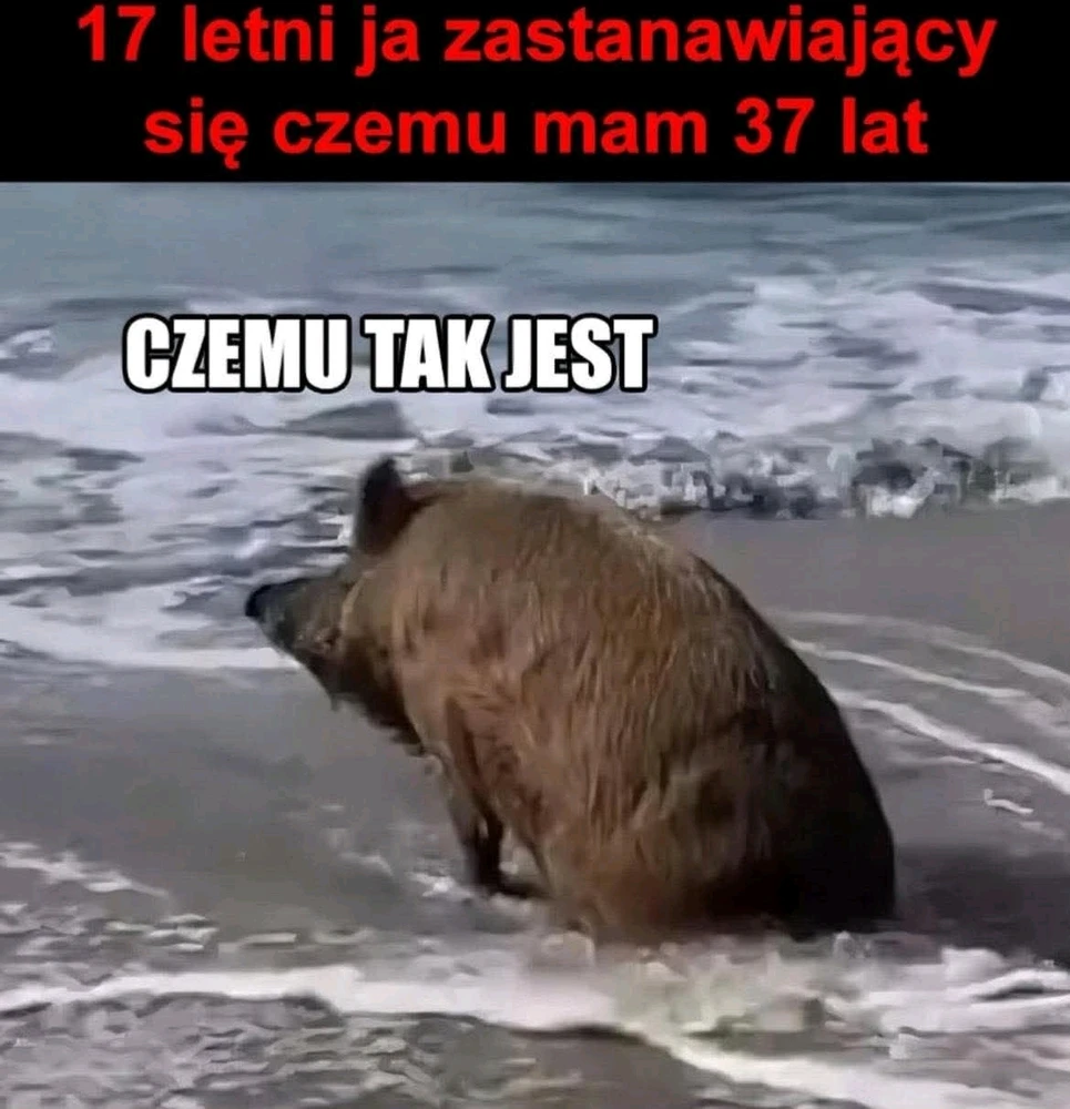 Proza życia