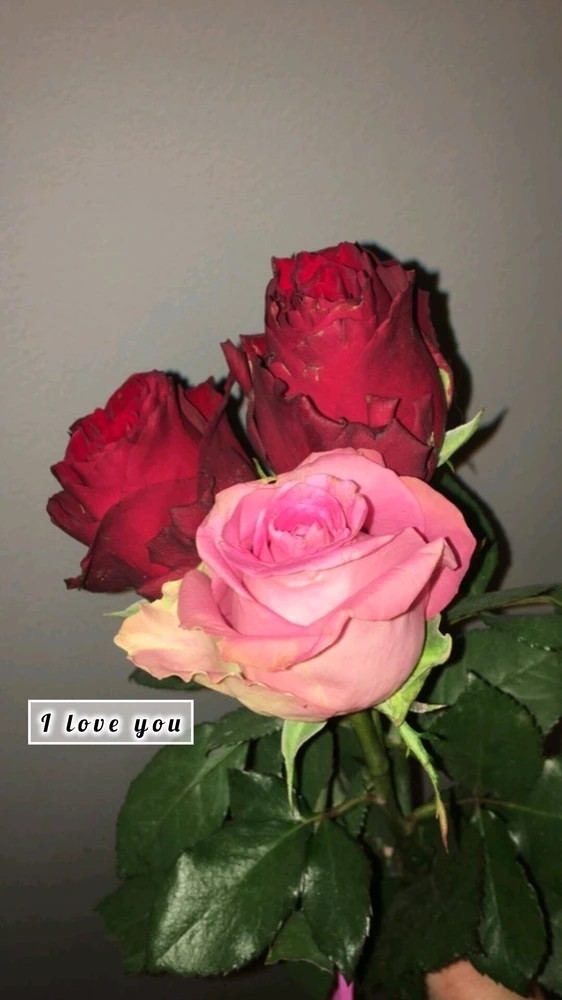 Image uploaded by Naami