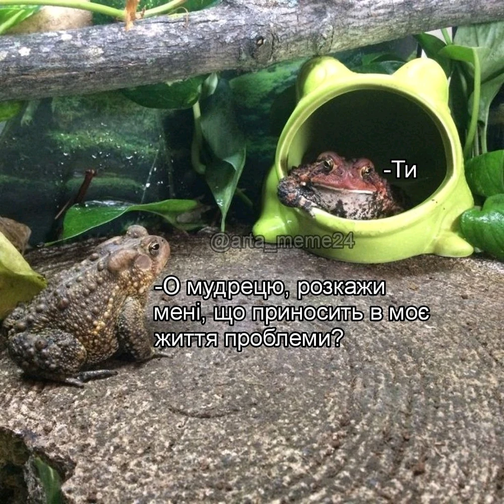 Гіфку завантажив Настя Квіточка