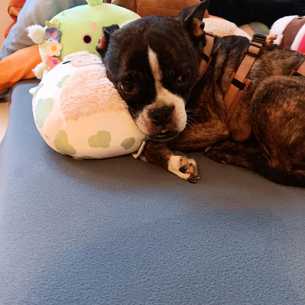 GIF hochgeladen von Jeremy