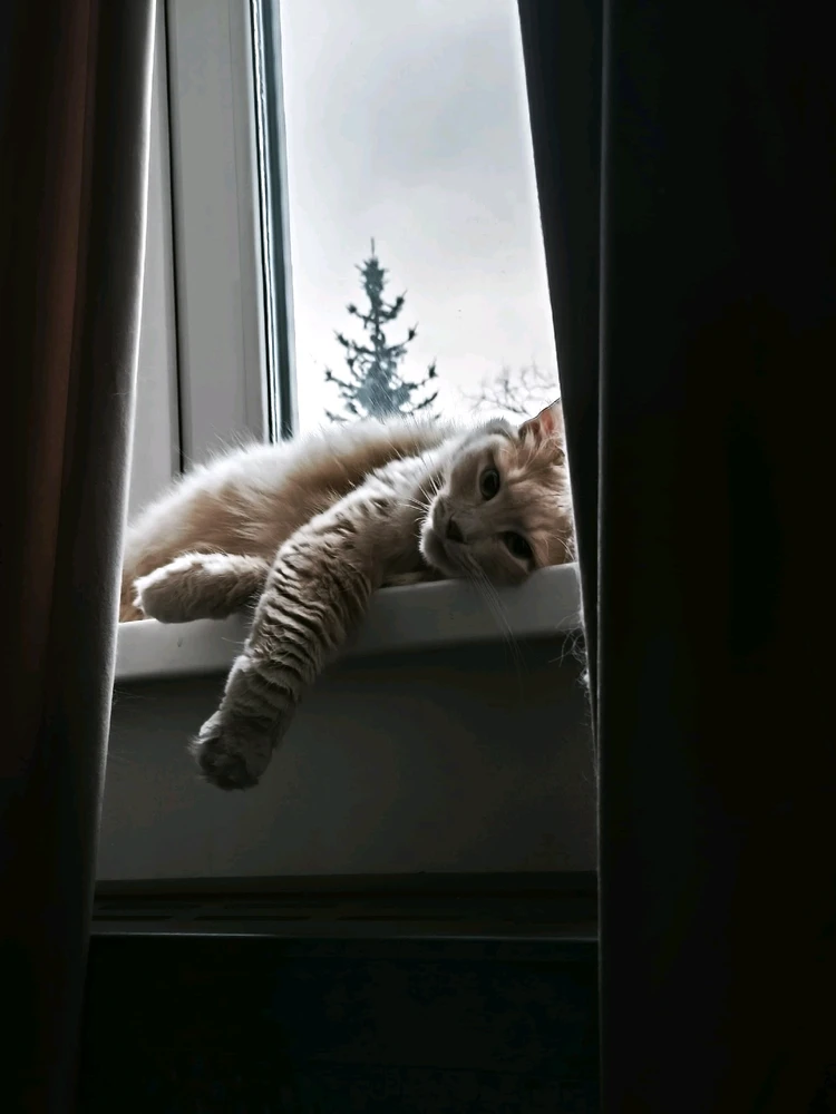 GIF lastet opp av Ulyana