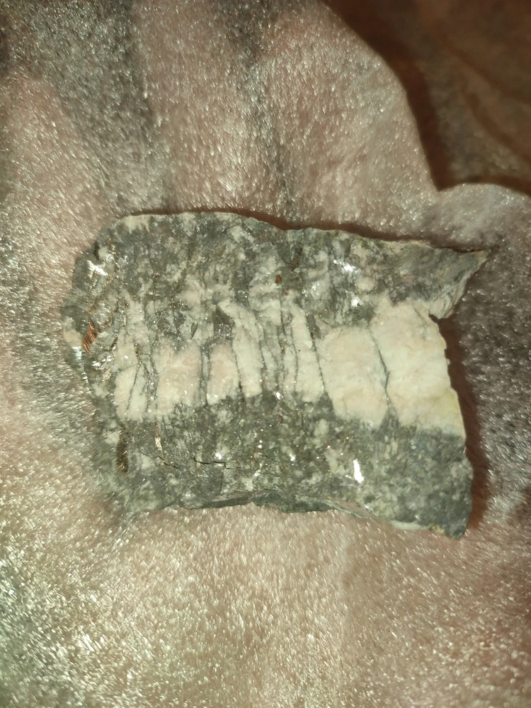 由Katlyne上传的图片