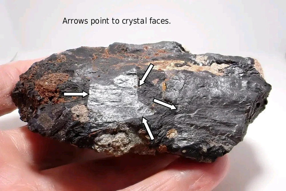 Image uploaded by Katlyne