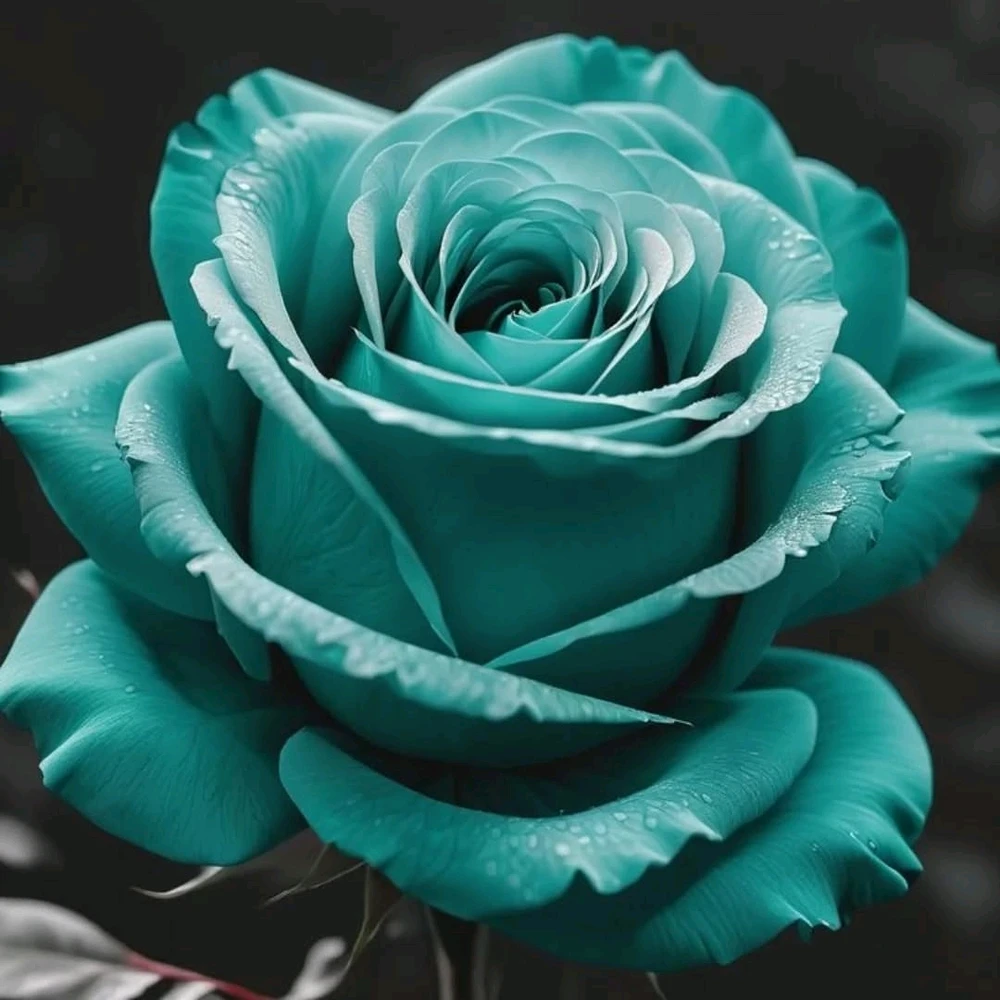 GIF uploaded by Liza