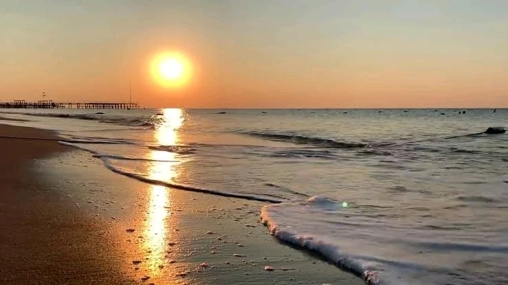 Sergüzeşt tarafından yüklenen GIF