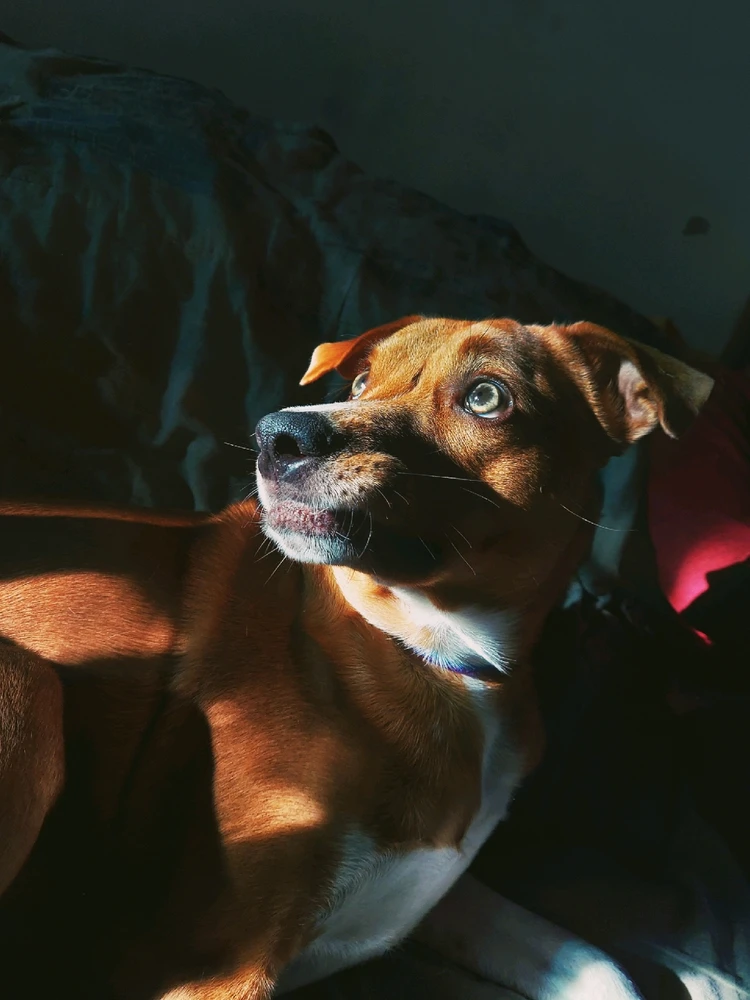 GIF subido por Franco