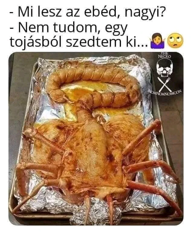 Tamás által feltöltött GIF